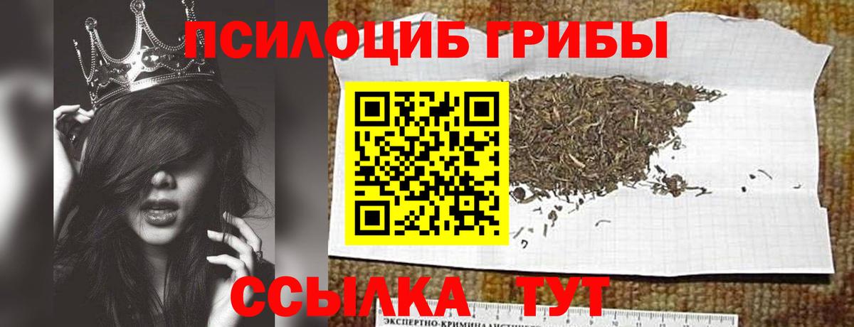 Галлюциногенные грибы Psilocybe Рыбинск